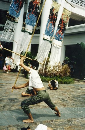 Picture