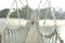 carousel chooser
