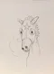 carousel chooser