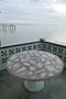 carousel chooser