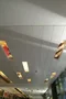 carousel chooser