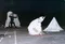 carousel chooser