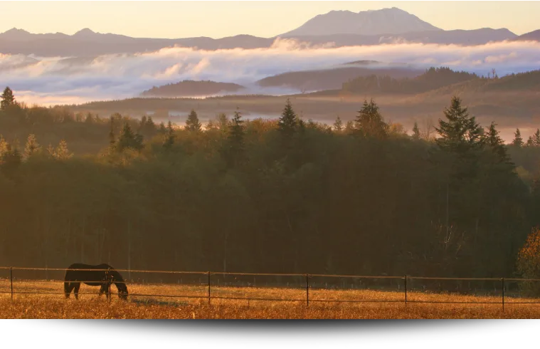 Lewis County Washington