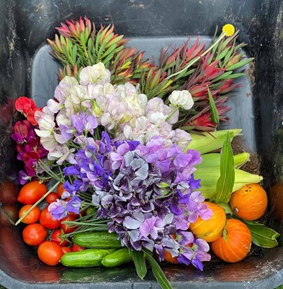 A feast for all the senses