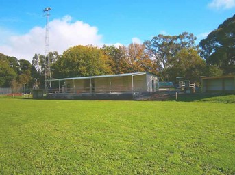 In memoriam: footy, laughter and war