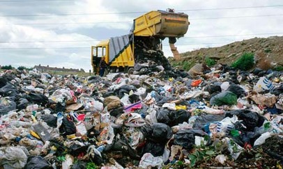 Of plastic bags and paper cups