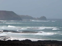 Beauty and the beast