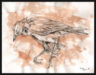 The final flight