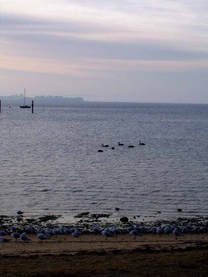 French Island follies