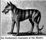 Image description