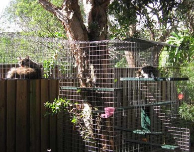 Kitty corner