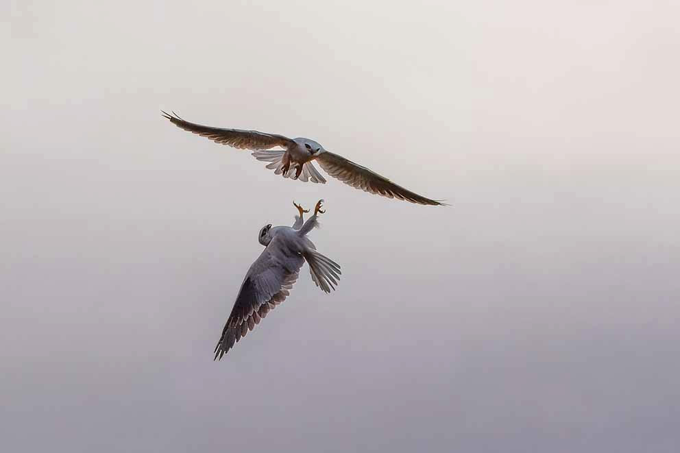 ​Eye to eye