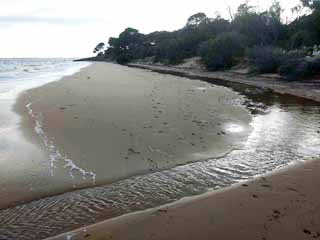 A simple fix for disappearing beaches?