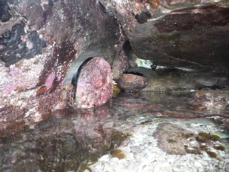 Harmers Haven rock pool, photo by Helen Keellings