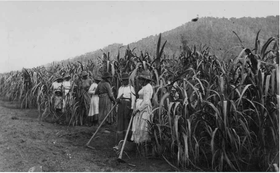 Image description