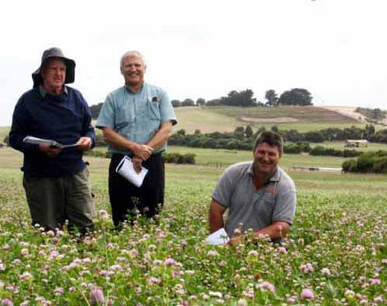 Saving the planet, a paddock at a time