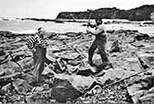 Image description