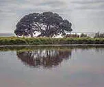 Image description