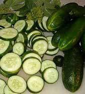 Cucumberful and plenty