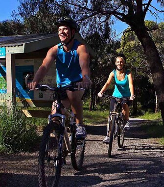 Phillip Island's missing link