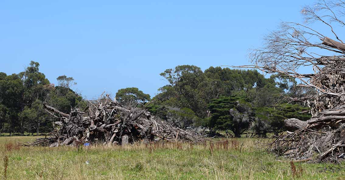 Farmer fined for illegal land clearing
