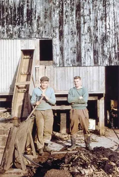 Image description