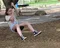 carousel chooser
