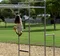 carousel chooser