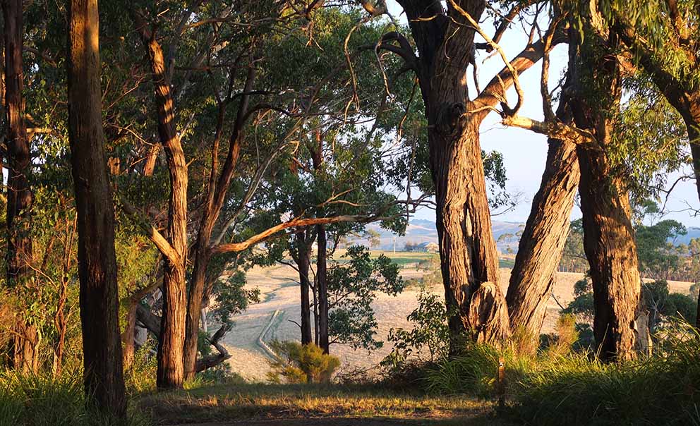 Banking on biodiversity