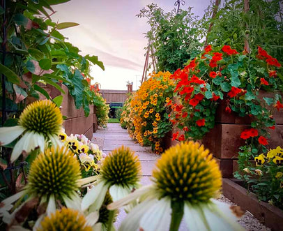 A feast of good gardening