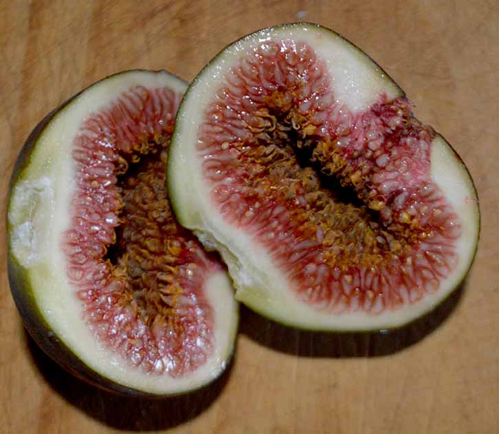 ​The secret life of figs