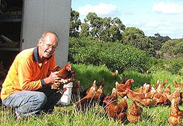 Egg business is booming