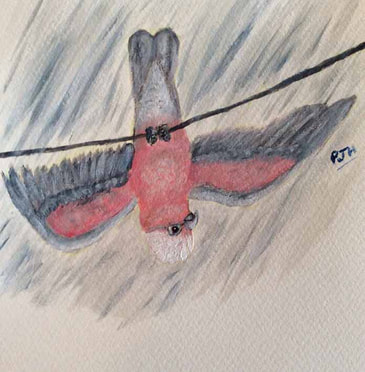 The solace of birds IV