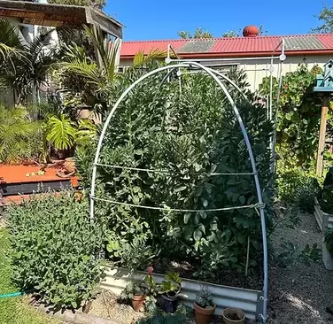 A feast of garden ideas