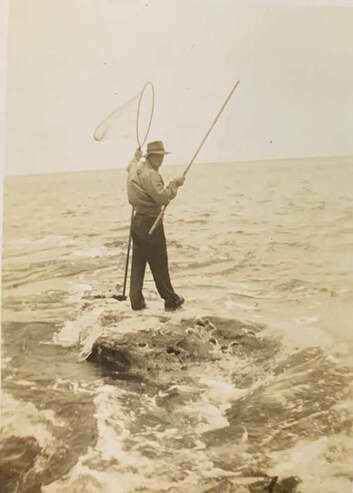 Crays, muttonfish and gars with tails like pick-axes