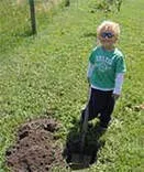 Image description