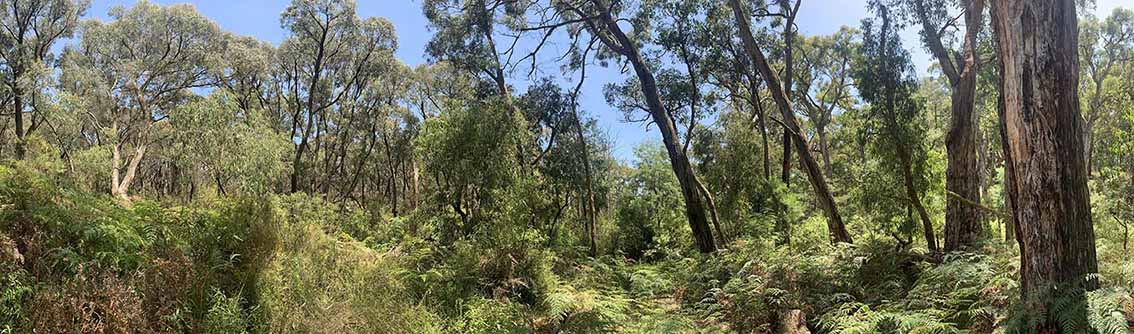 Enviro fund set to launch