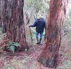 Image description