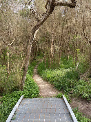 Walking Screw Creek Trail