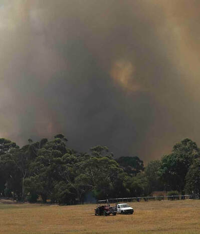 My first bushfire