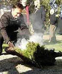 Image description