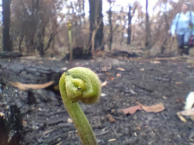 Signs of life