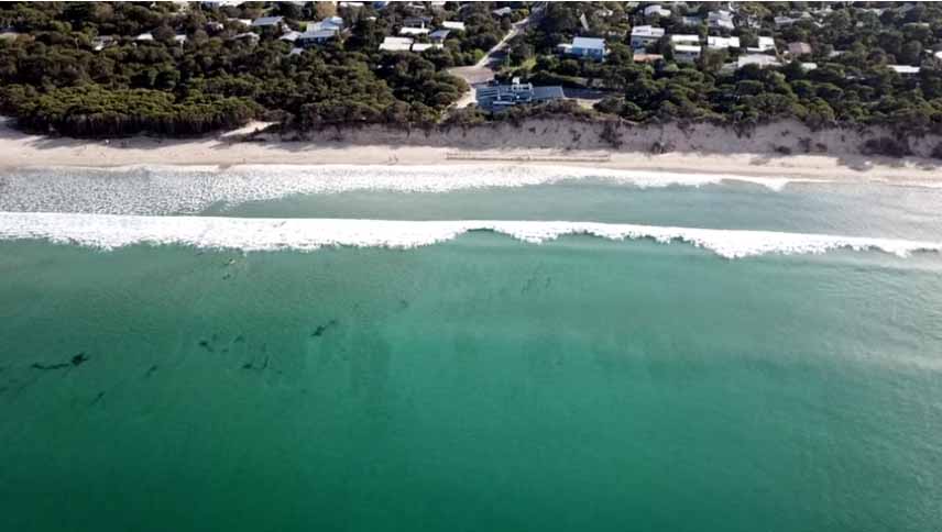 Inverloch sand fences offer a glimmer of hope
