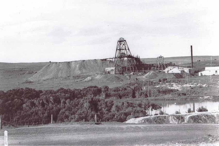 Image description