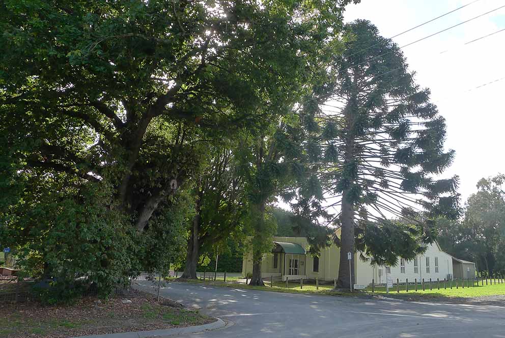 Kongwak Hall. Photo: Jillian Durance