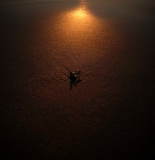 ​Light Sand Wind Water Tide