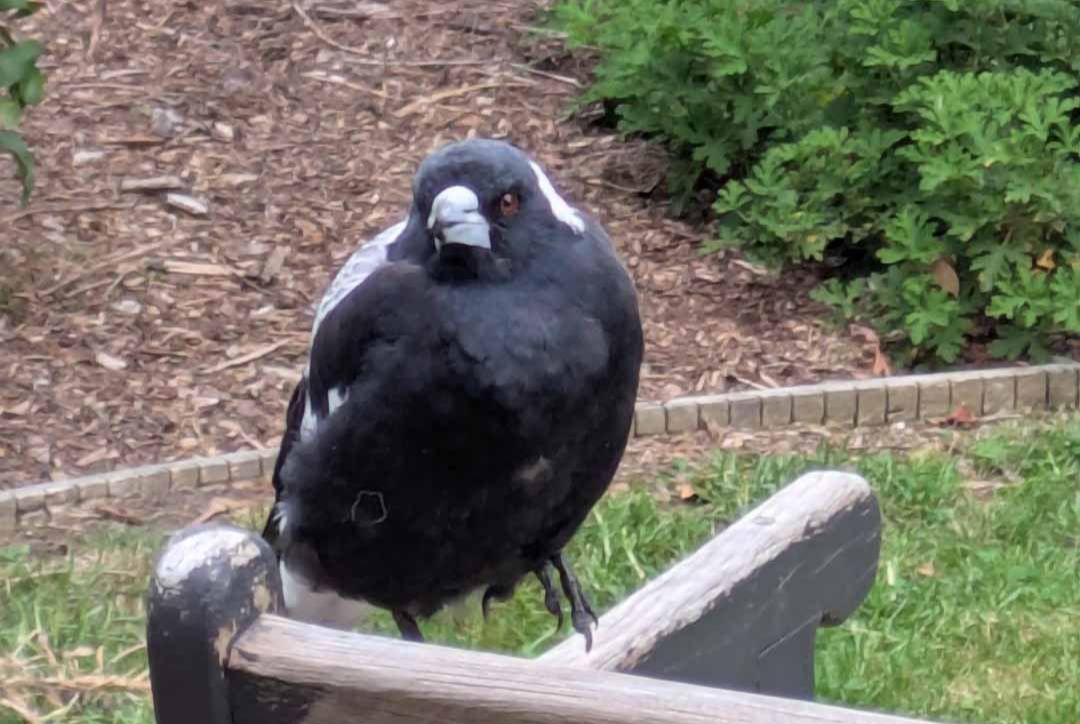​Happy landings, Maggie