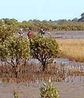 Image description