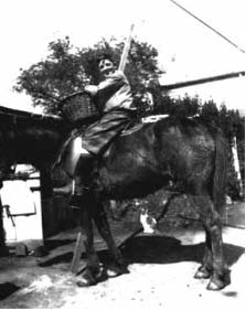 Image description