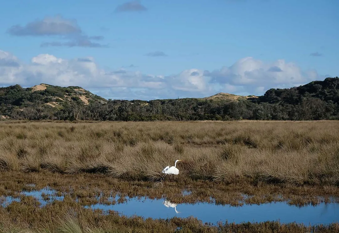 Mouth of the Powlett. Photo by Julie Paterson